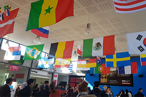 Culture & International